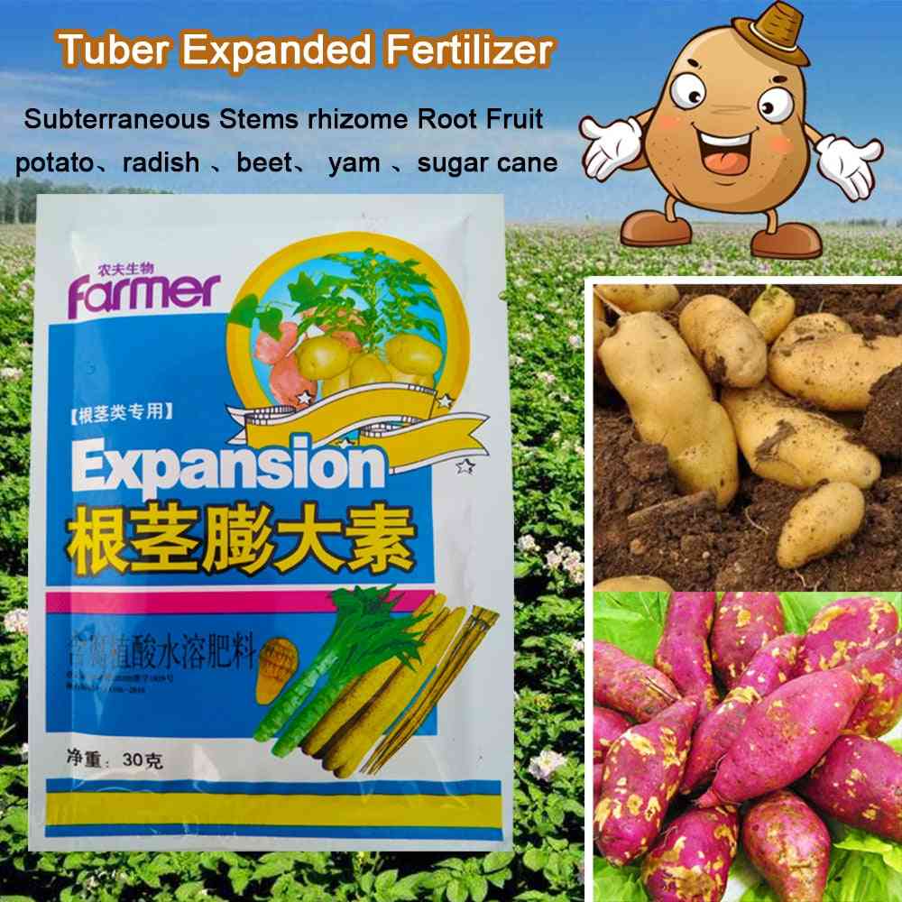 Expansão de tubérculos, fertilizantes, alimentos para plantas - crescimento de rizomas, raízes, plantas, hidroponia, fazenda