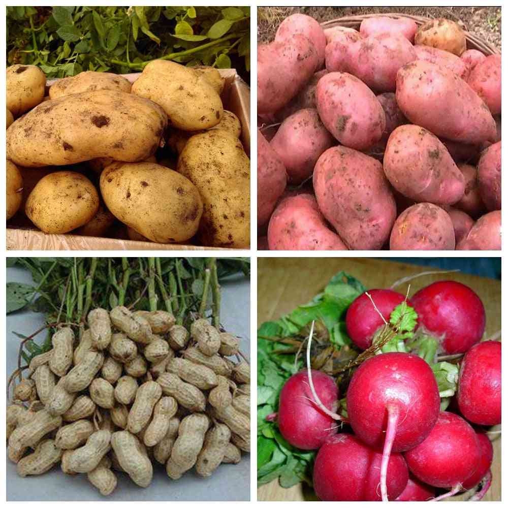 Speciale knoluitbreiding meststof plantenvoeding - wortelstok groei wortelgewas hydrocultuur boerderij groente -