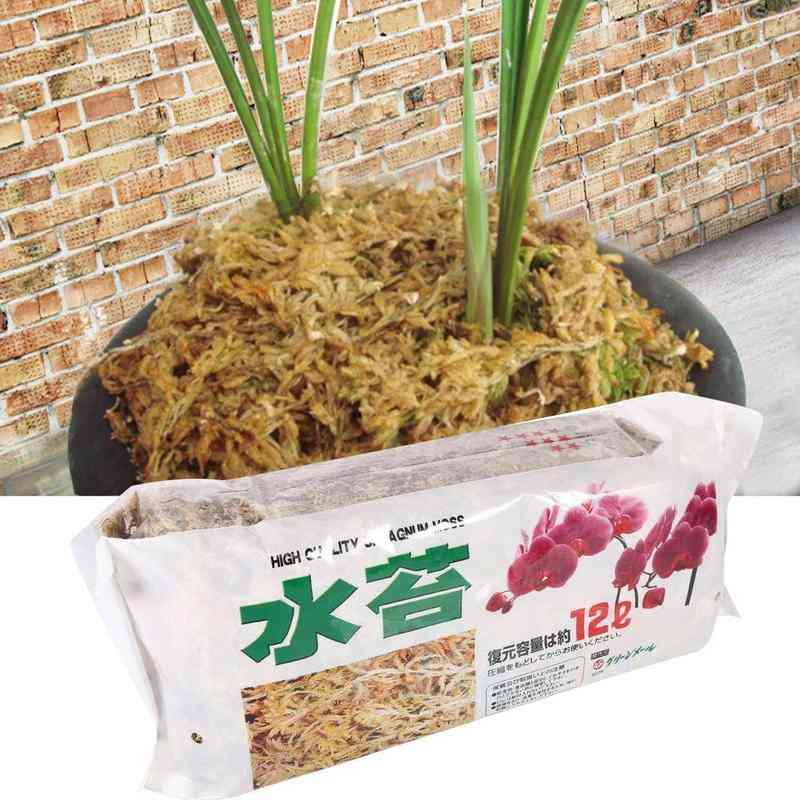 Sphagnum Moss Nutrition Organic Fertilizer 12l For Phalaenopsis Orchid Flower Garden
