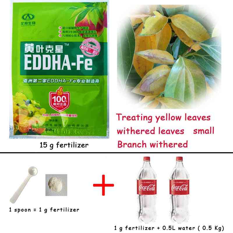 Traktowanie żółtych liści zwiędłych roślin suplement diety żelazo eddha fe chelat mikro nawóz -