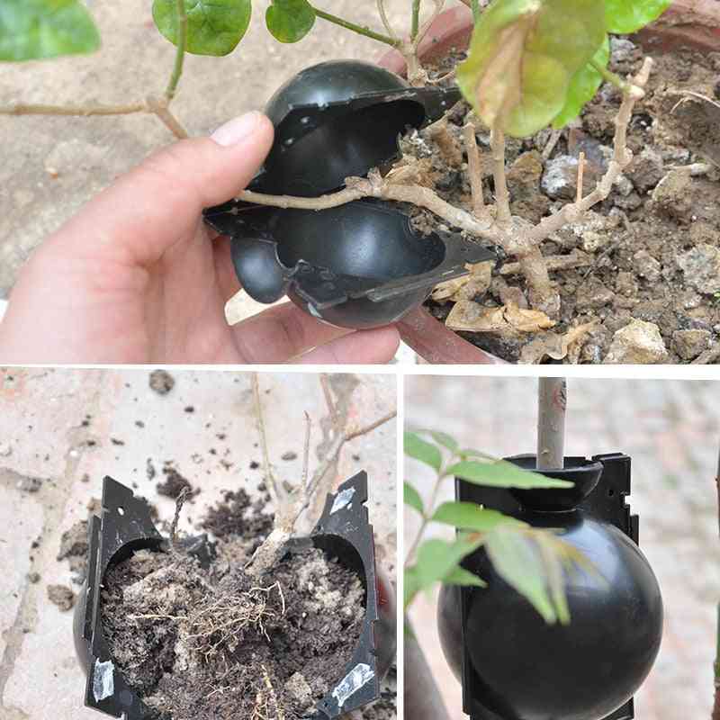 Ball Plant Root Growing Box, Grafting, Breeding Case For Garden Plant