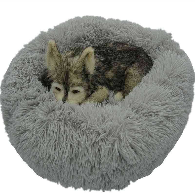 Dogs Bed - Chihuahua Big Large Mat