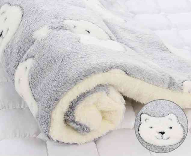 Soft Flannel Thickened Soft Fleece Pad Pet Blanket