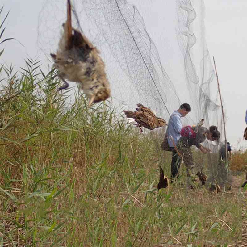 Bird Catcher Net, Pond Net, Fishing Net, Crops Fruit Tree Vegetables Flower Garden Mesh Protect Pest Control