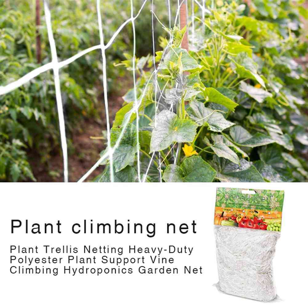 Polyester Net For Garden Plants - Climbing Net, Cucumber Vine Grow Holder