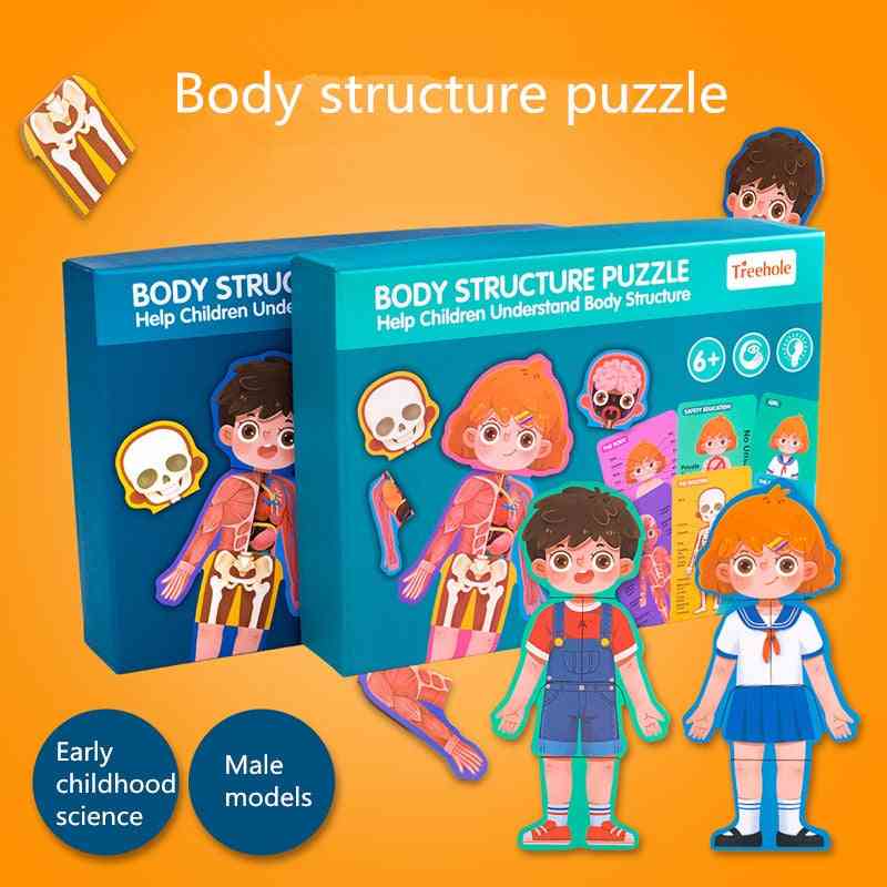 Rompecabezas de madera cognitivo de la estructura del cuerpo humano, juguete biológico para niños - niño