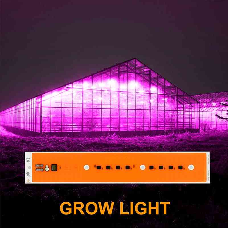 Conta de luz led - 80w / 50w / 30w / ac220v - cor quente fria para lâmpada de holofote - luz de crescimento de 30w