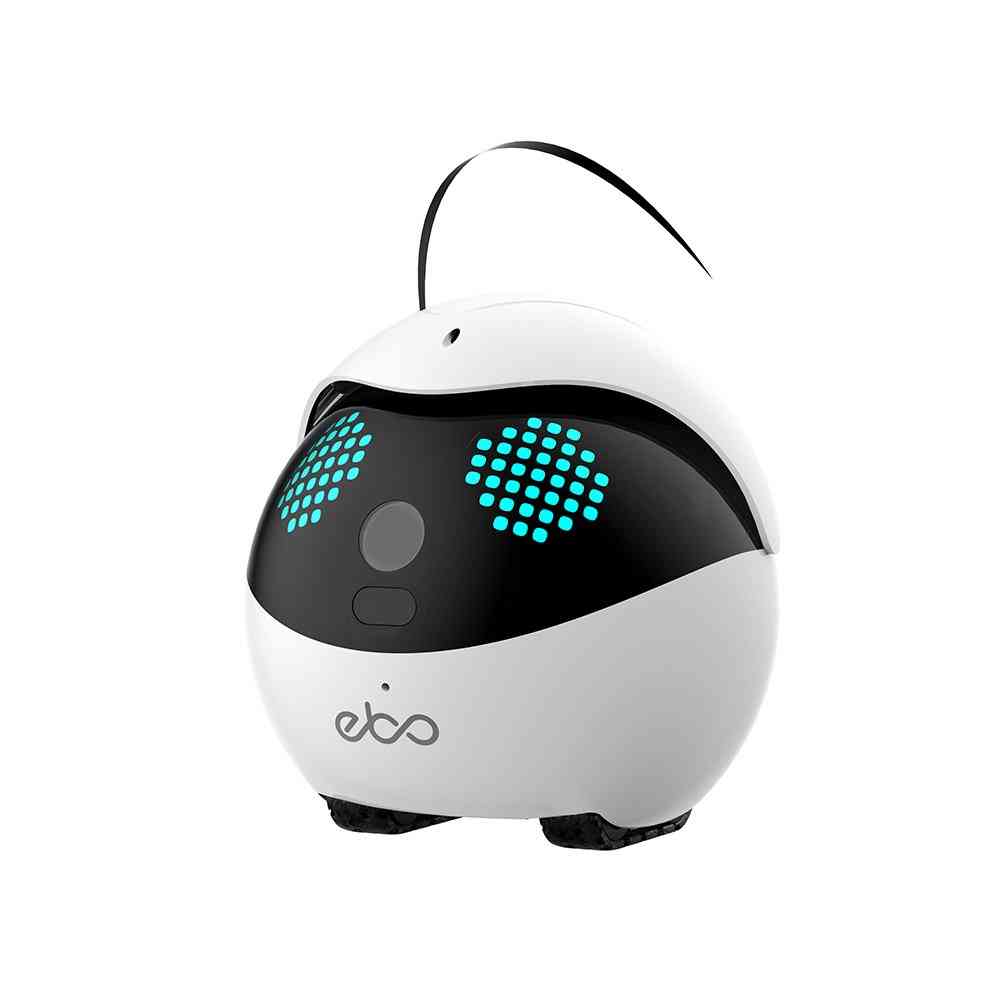 Ebo Catpal The Smart Robot Companion For Cat