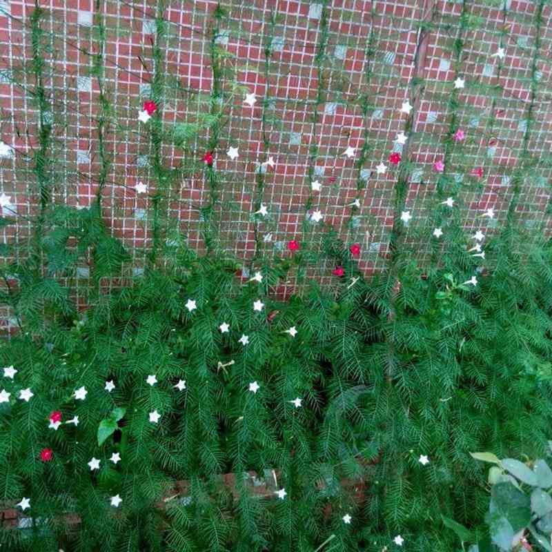 Klettergerüst aus Nylonnetz für Pflanzenwachstum, Gartenzaun, Netz, Gemüsewerkzeuge - 1,8 x 1,8 m