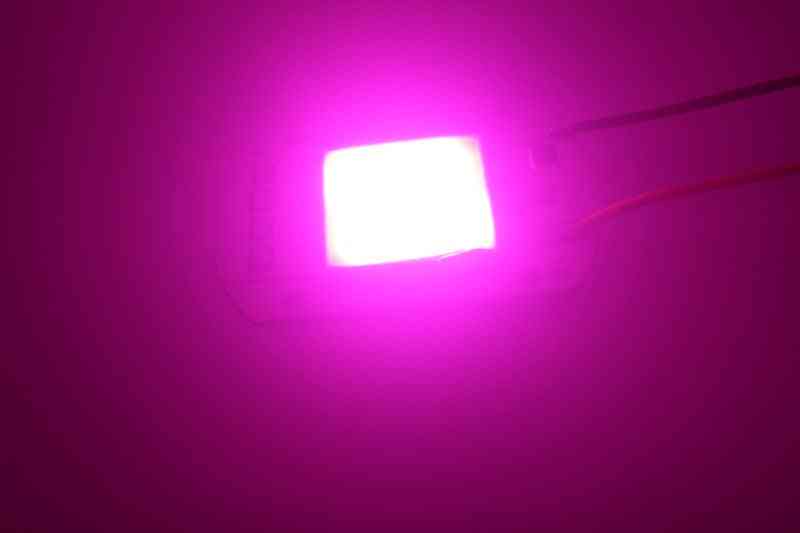 Led Cob Full Spectrum Chip - Plant Grow Light