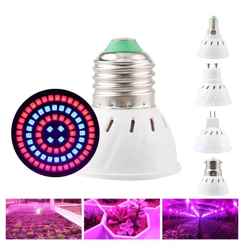 Led Grow Light Bulb - Growing Lamp Full Spectrum