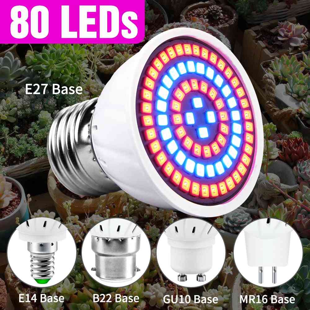 Grow-lamp, Full Spectrum Led Plant- Hydroponic System