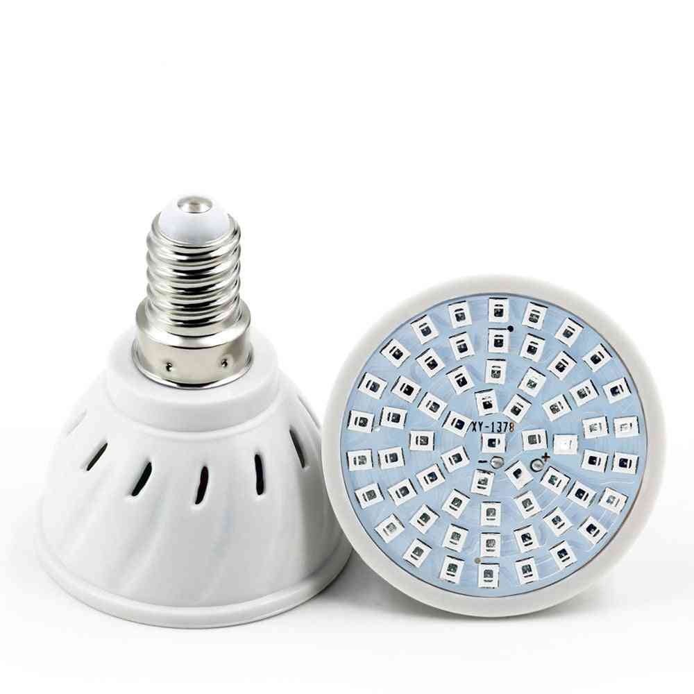 220V / 110V LED Plant-Grow-Lights E27 / E14 MR16 GU10, Ampoule de croissance 60LEDs / 80LEDs Lampes de croissance à spectre complet pour jardin intérieur