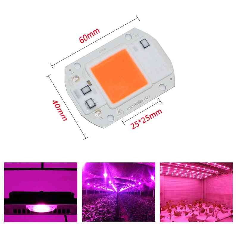 Ac220v 110v cob led chip fito lámpa teljes spektrumú 50w / 30w / 20w, led dióda növekvő lámpák fitolampy beltéri palántákhoz