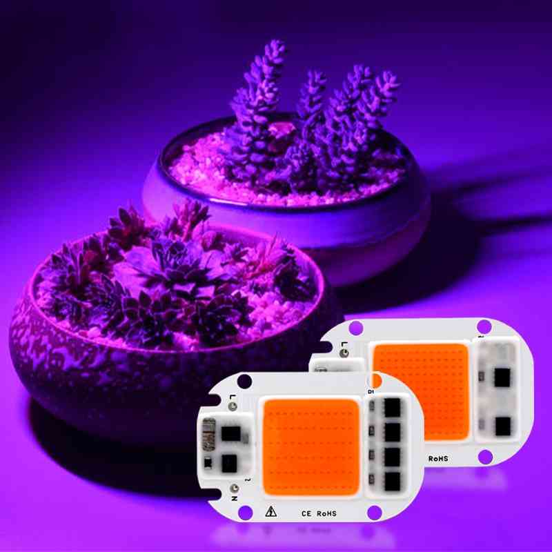 Fuldspektret DIY LED Grow Cob Chip Phyto Lampe til Indendørs, Planteplanteblomst - Bule Light / 20W / 220V
