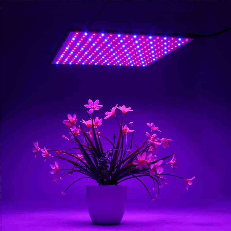 Lampa LED do wzrostu o mocy 1500 W do roślin, lampa LED do wzrostu z pełnym spektrum Fitolampy Światło do ziół wewnętrznych do szklarni - wtyczka typu 1 / US