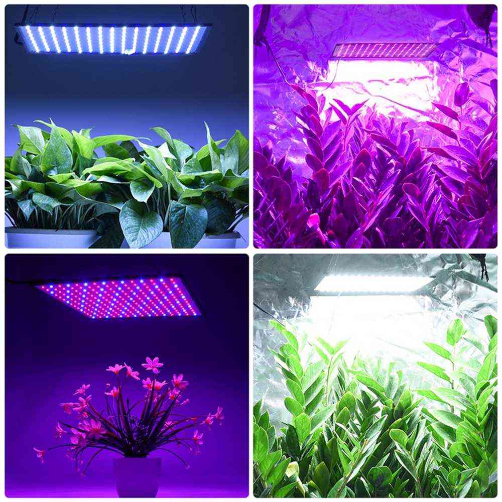 Lámpara de crecimiento led de 1500 vatios para plantas, lámpara de fito de espectro completo con luz de crecimiento led, luz de hierbas de interior fitolampy para invernadero - enchufe tipo 1 / EE. UU.