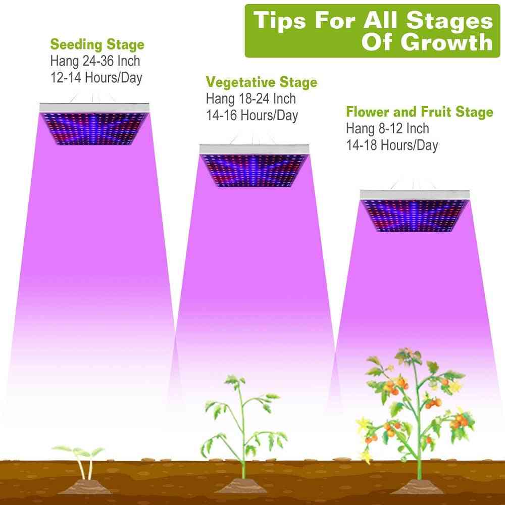 Lampada di crescita a led 1500w per piante, lampada fito a spettro completo a luce di crescita a led fitolampy luce per erbe da interni per serra - tipo 1 / spina americana