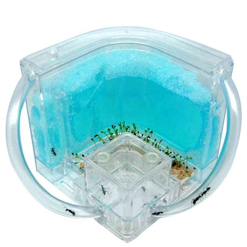 Pet House Ants Villa With Moisture And Feeding Area For Science