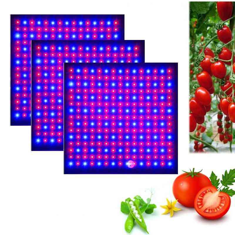 Led coltiva la luce 1000w lampada per piante, fito fitolampy a spettro completo luce erbe per interni per serra - 3 pezzi coltiva luce / spina eu
