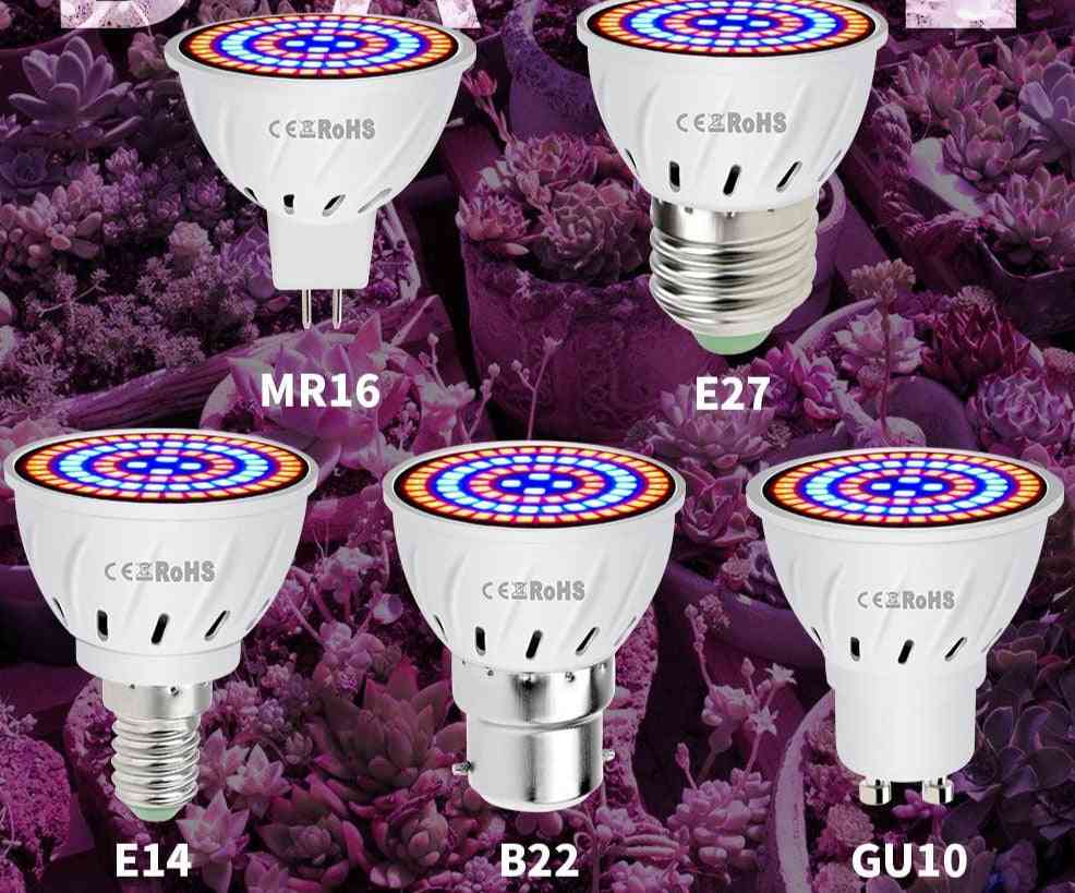 220v Led Grow Light Lamp For Plants, With Full Spectrum