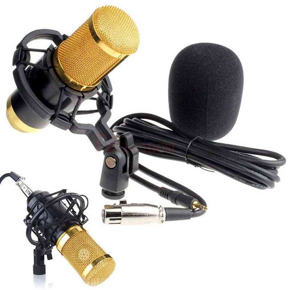 Condenser Sound Recording Microphone With Shock Mount For Radio