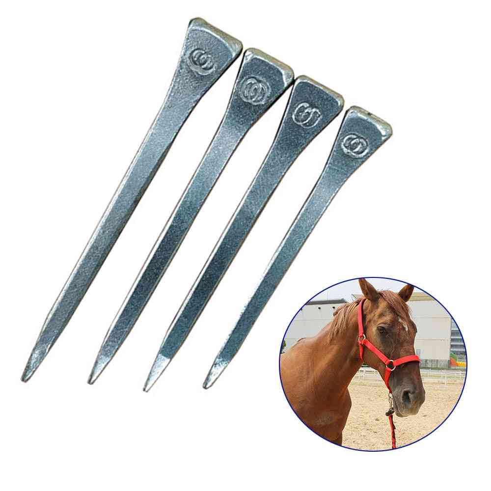 Stainless Steel Horse Shoe Nails/studs