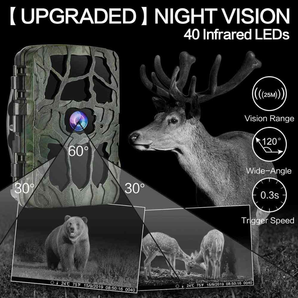 Camera Infrared Hunt. Night Vision, Wildlife Photo-trap Hunting