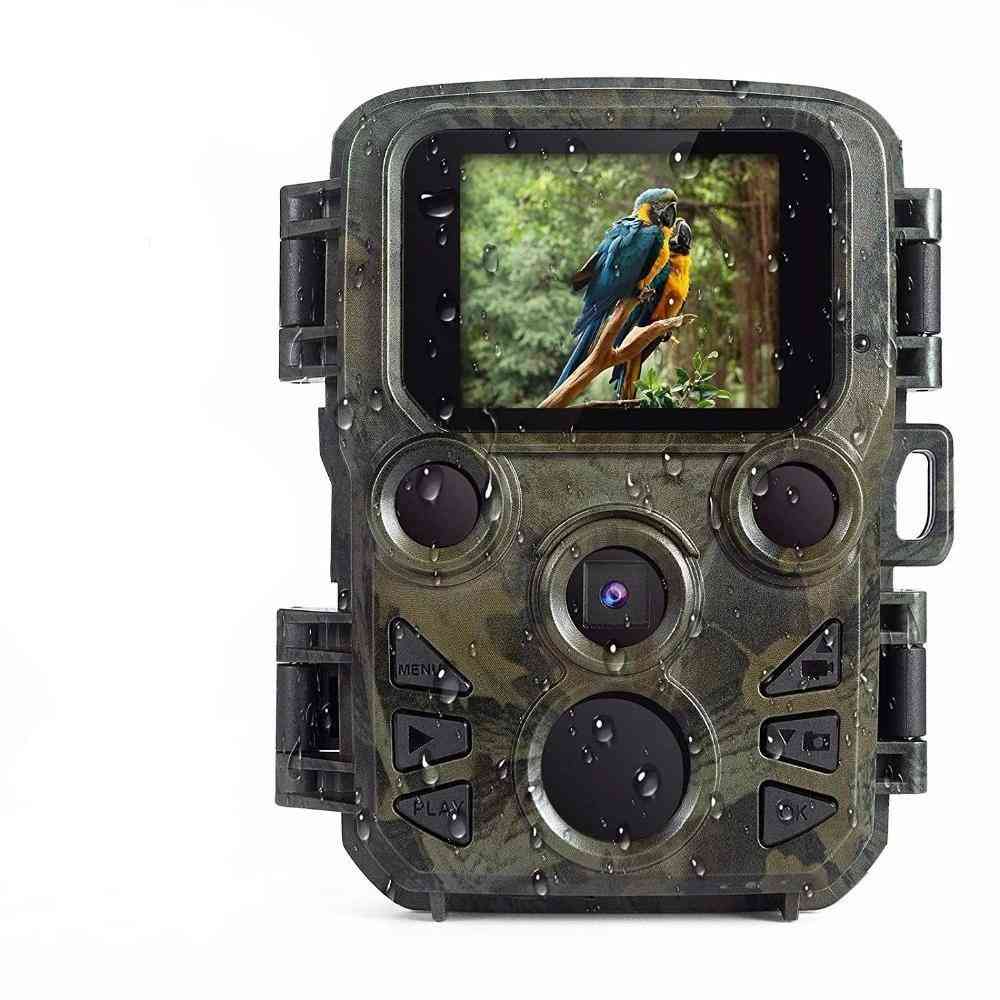 Full Hd Wildlife Scout Camera With Night Vision