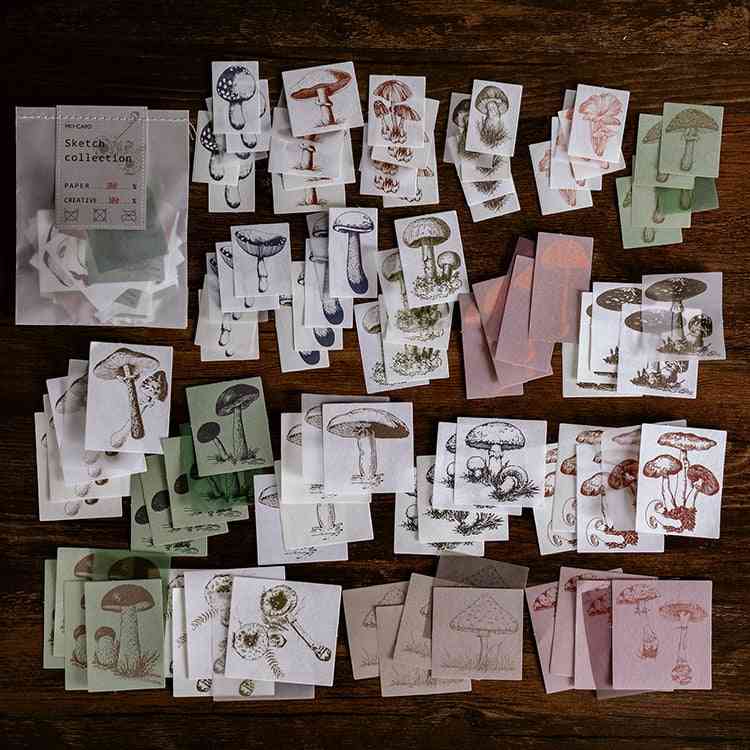 Vázlatgyűjtemény botanikai anyag papír diy kézzel készített száraz kraft napló utazási felvétel