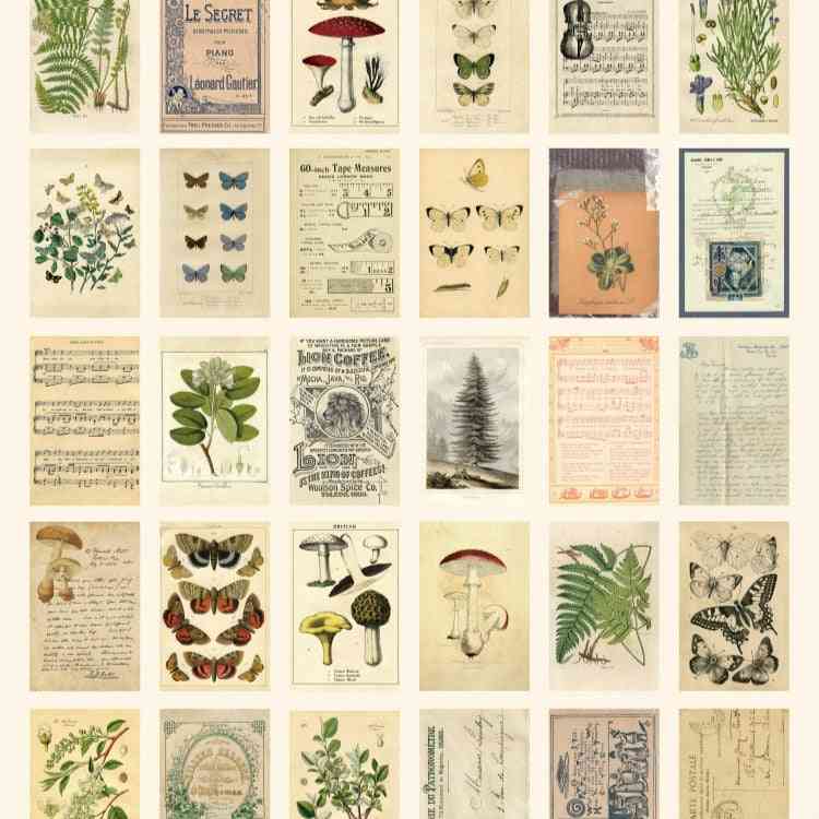 30db / doboz ősi erdei állatok növények képeslap üdvözlőlapok mintája