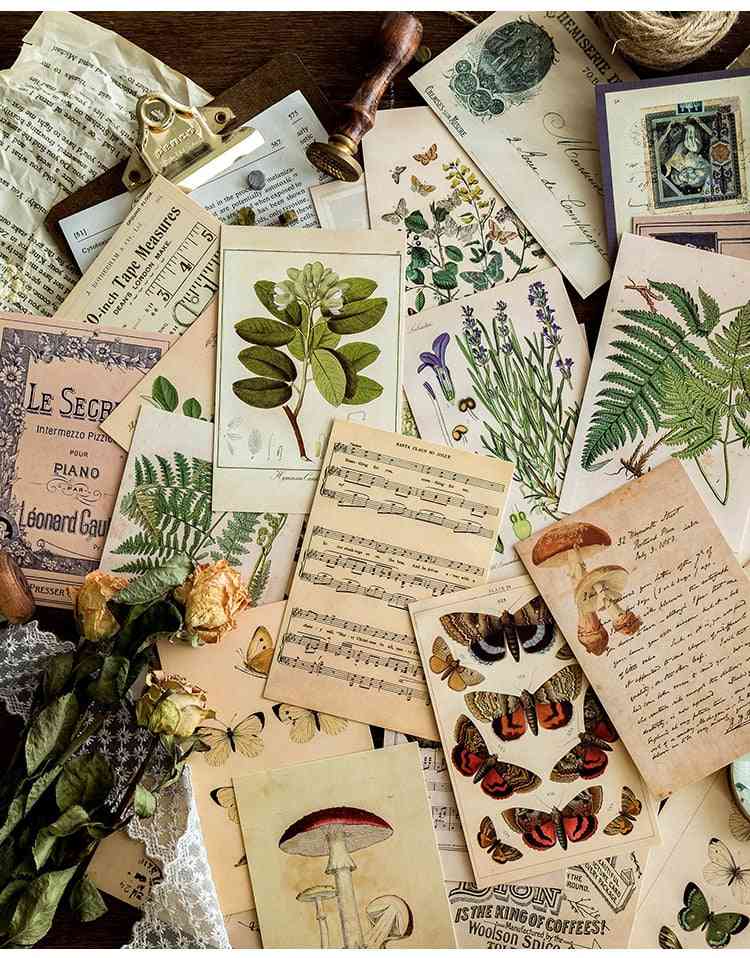 30buc / cutie animale de pădure antice plante specimen carte poștală felicitări cadou