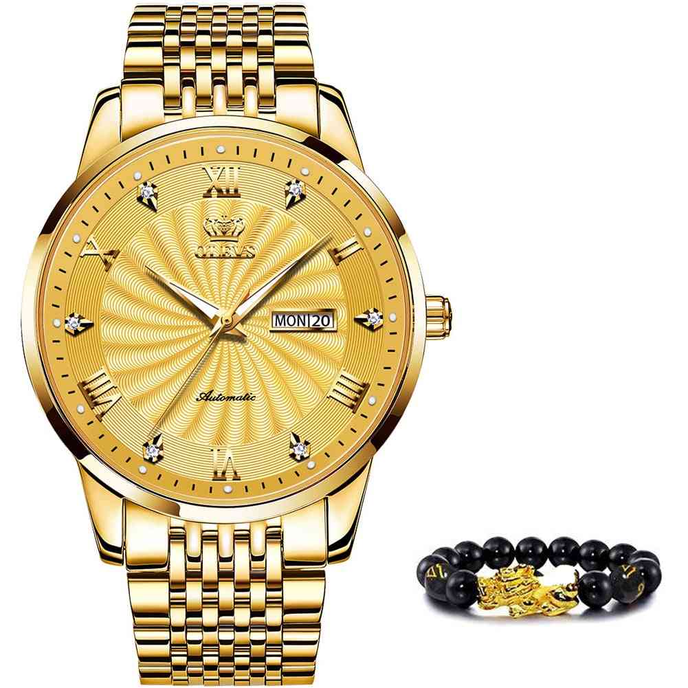 Top Brand Luxury Automatic Watch Sport Stainless Steel Waterproof Watch