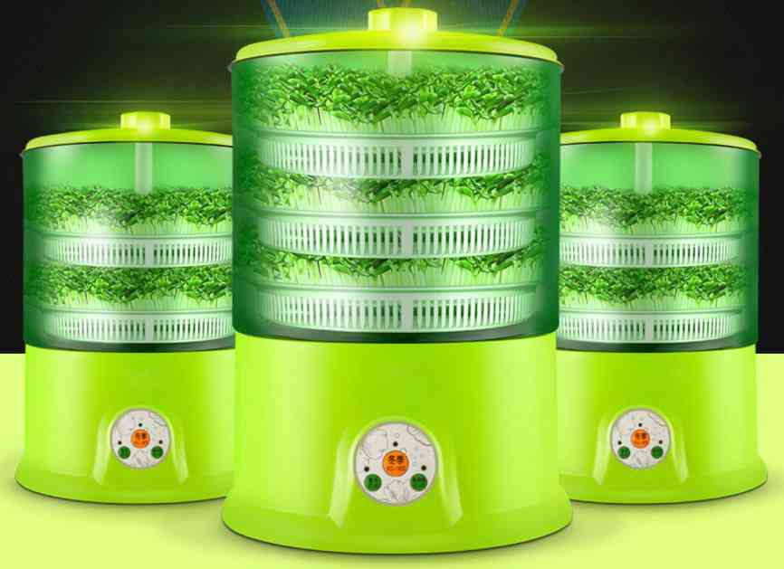 Automatikus babcsírázó gép, termosztátos zöld magvak nőnek