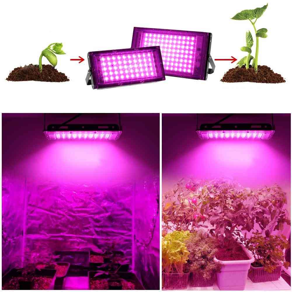 Celé spektrum - fyto lampa, skleníková hydroponická, osvetlenie rastu rastlín