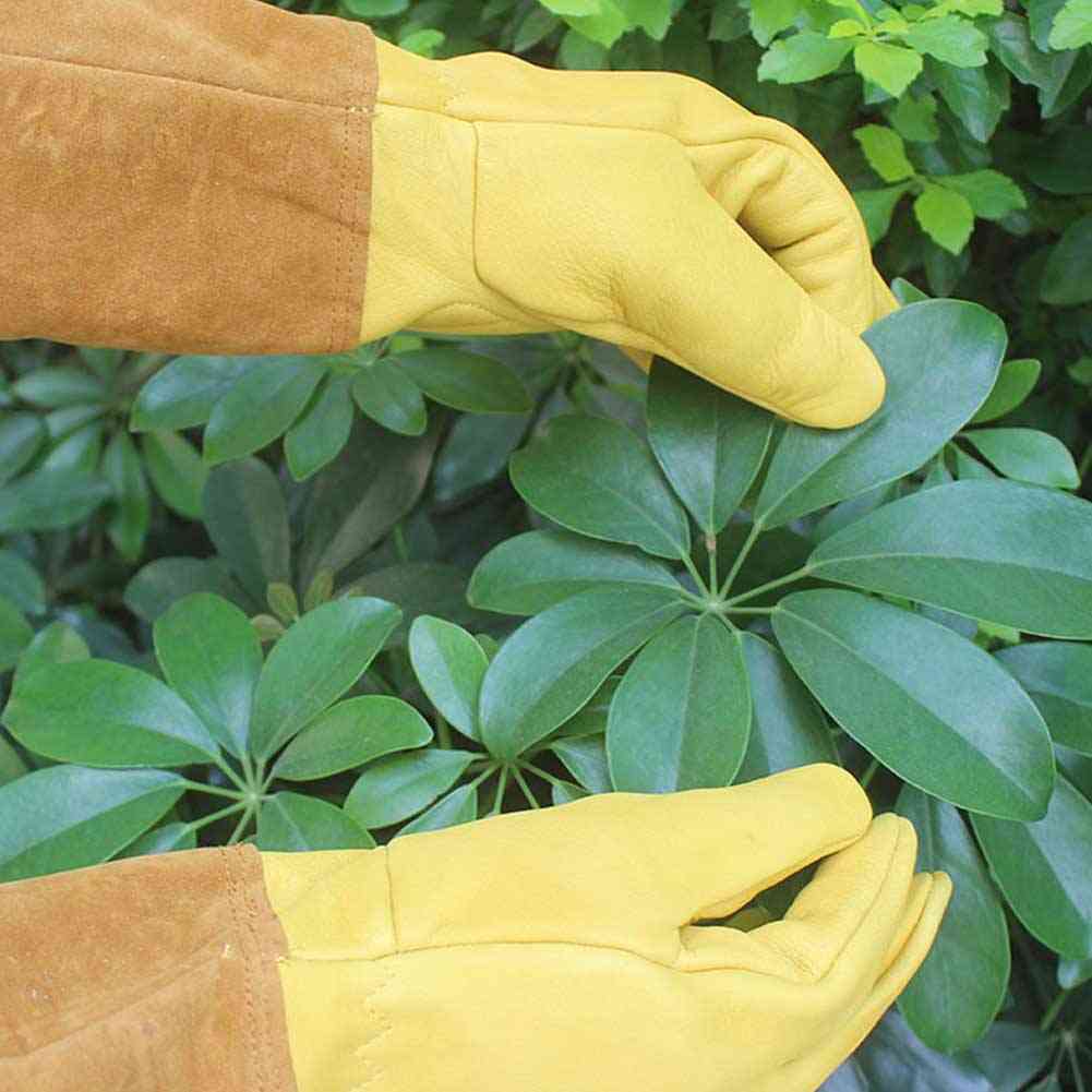 Long Sleeve, Protective Gloves For Trimming, Thorn Cut, Rose Pruning, Beekeeping And Gardening