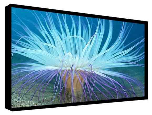Ledet LCD tft hd 4k touch interaktiv digital skærm med pc ip kamera