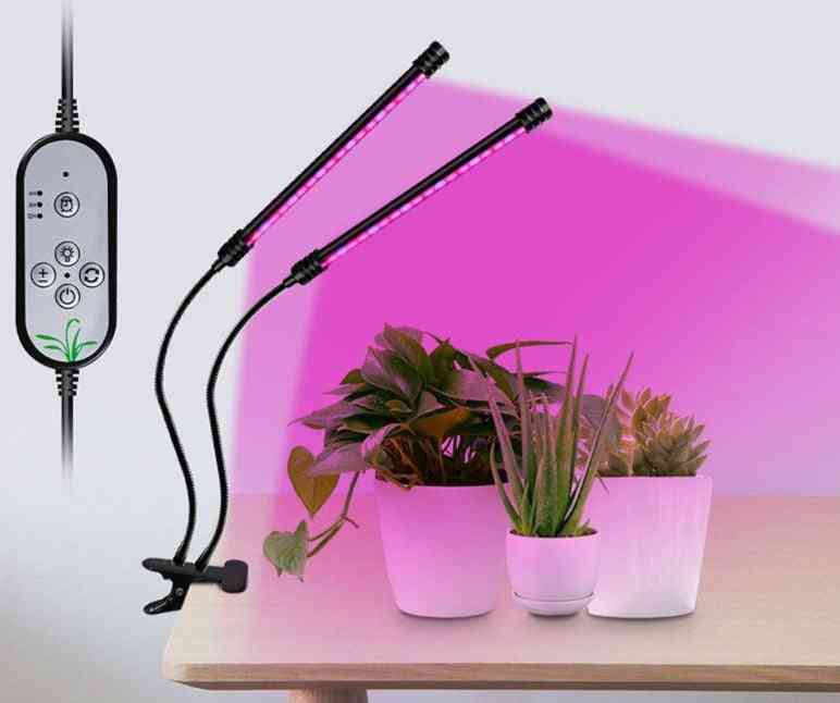Lâmpada fito usb, espectro completo fitolampy com controle para caixa de plantas