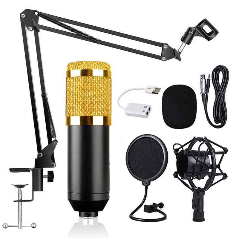 Bm800 Condenser Microphone Professional Voice Recording For Phone Pc Kit
