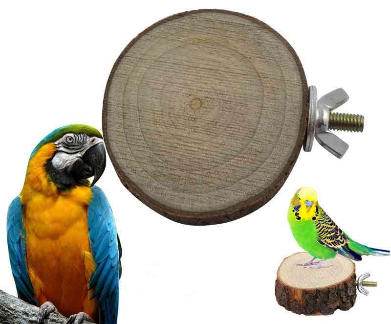 Runde træ egern, papegøje, fugle aborre stå platform, kæledyr hængende legetøj