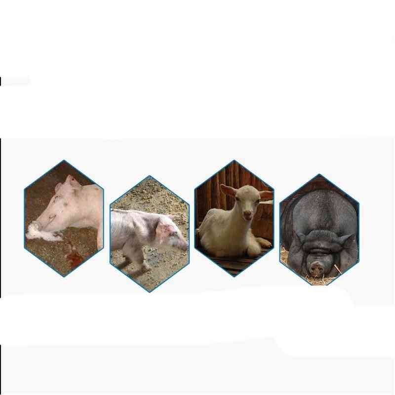 Tabletas veterinarias repelentes de insectos cuerpo de pollo, porcino, bovino y ovino