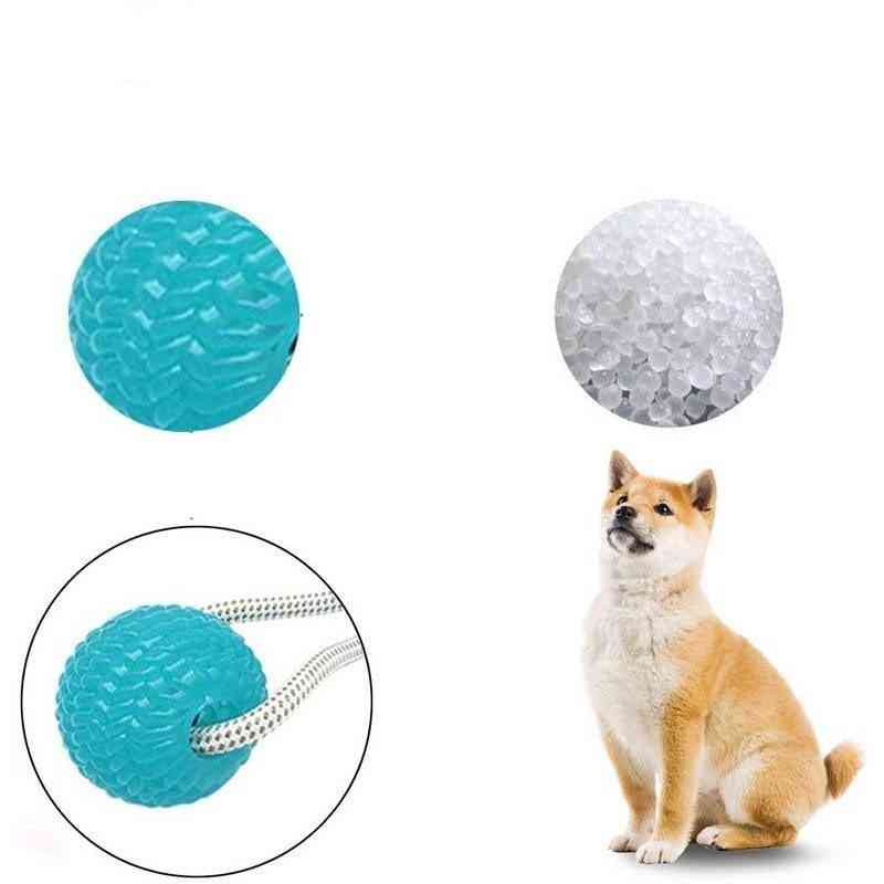 Ventuză împingere câine cu minge tpr, curățarea dinților, cauciuc de mestecat