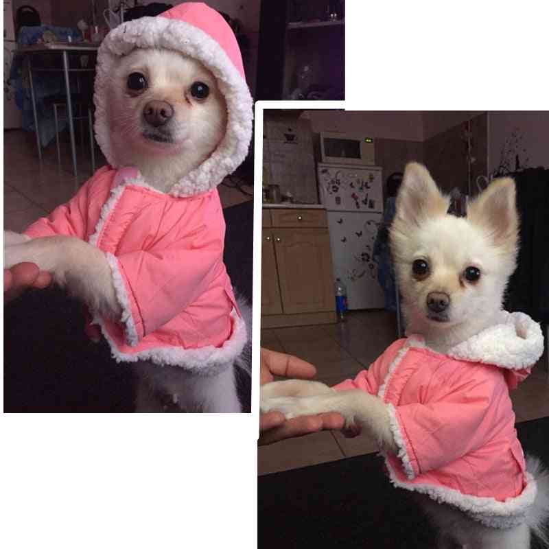 Varm vinter, kläder för små hundar