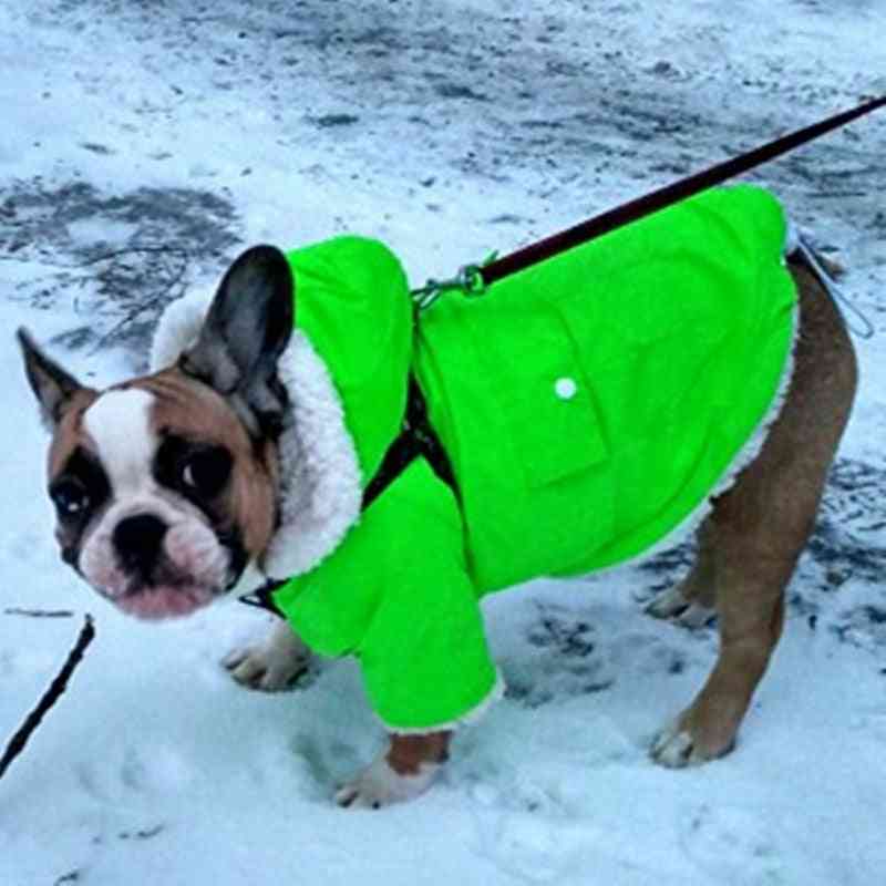 Teplá zima, oblečení pro malé psy