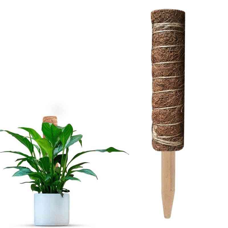 Coir Moss Totem Pole Stick