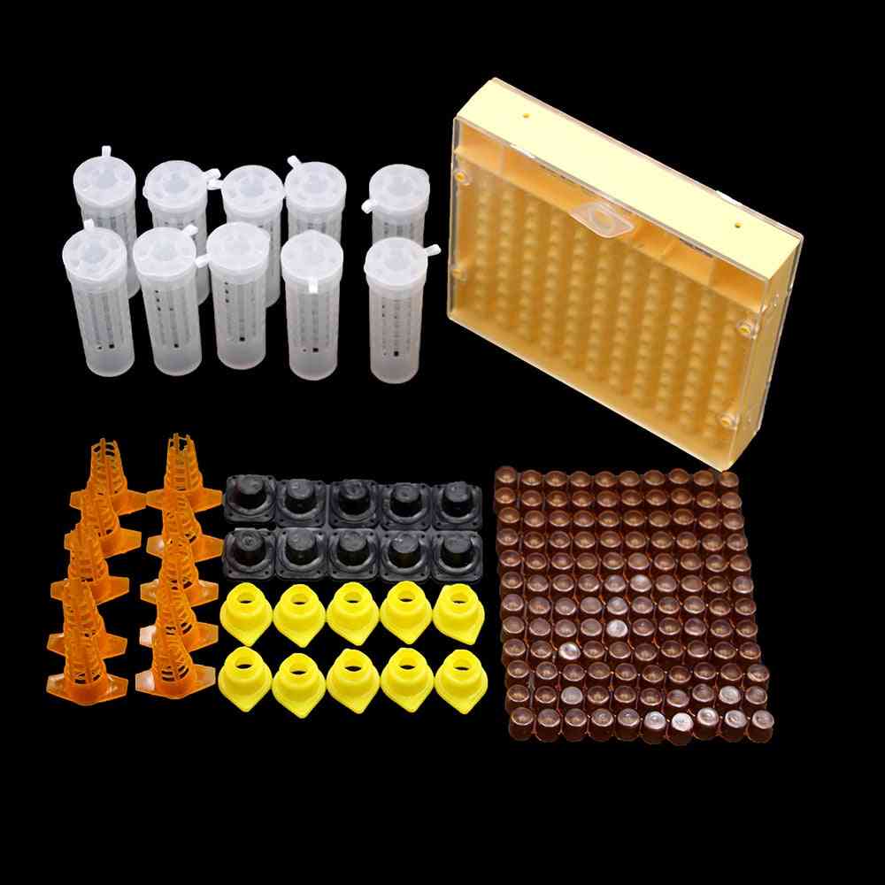 Beekeeping King Queen Bee Rearing System Box, Plastic Cup & Cell Protection Cover Cage Apiculture Kit Bees Tools