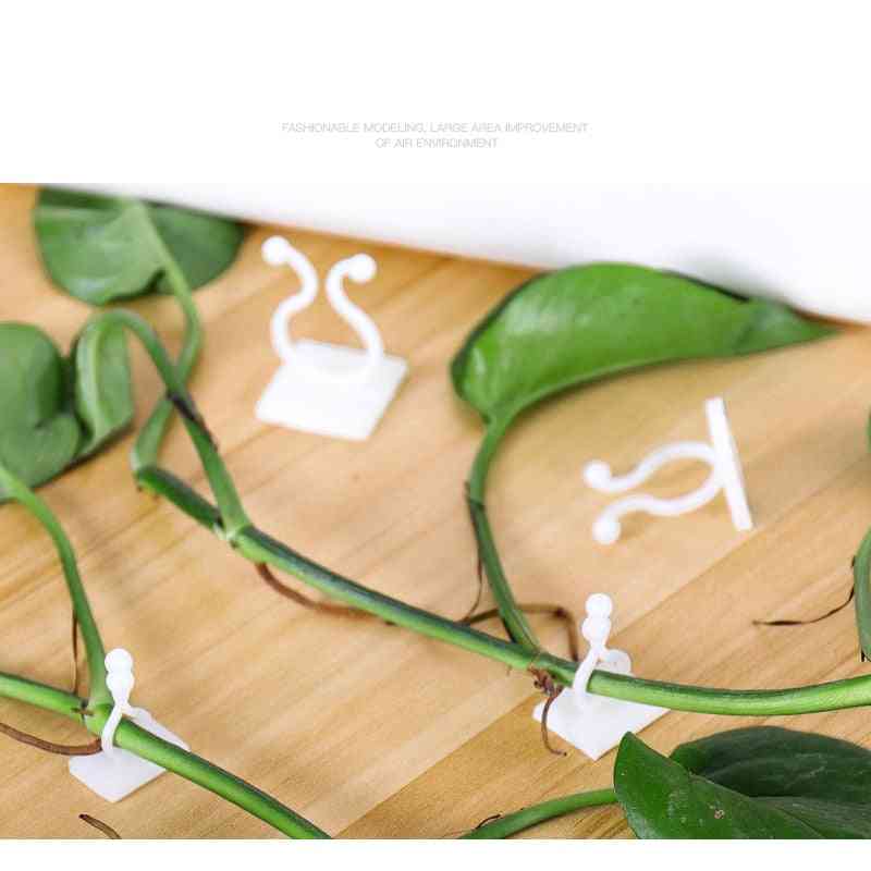 Invisible Wall Vines Fixture Sticky Hook Plant Fixer Climbing Clip