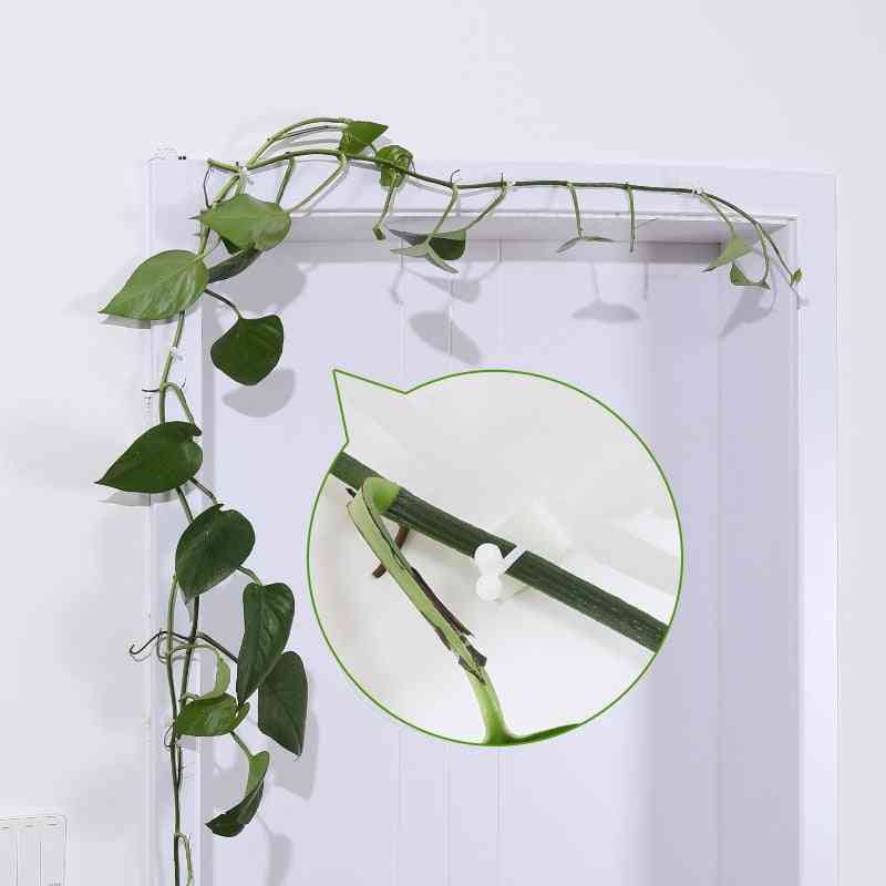Clip di arrampicata per fissaggio per piante con gancio appiccicoso per fissaggio di viti a parete invisibile