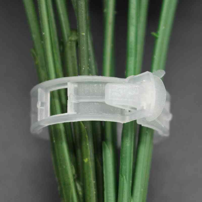 50 pezzi trasparenti durevoli, clip di supporto per peperoni di piante da giardino