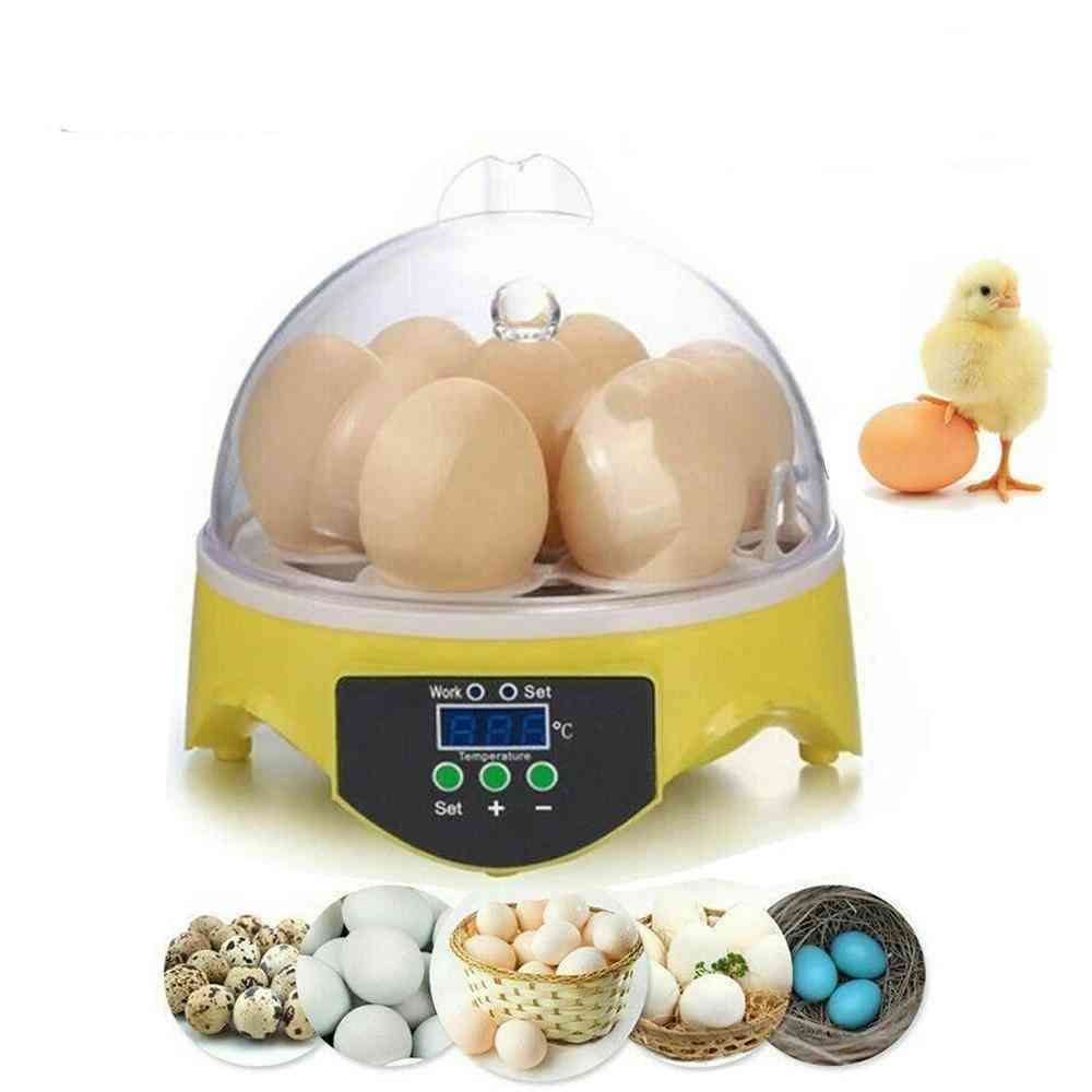 Chocadeira de temperatura automática frango pato nascedouro pássaro